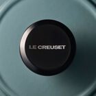close-up view of black nickel knob