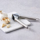 Stainless Steel Garlic Press