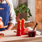 Acrylic Classic Salt and Pepper Mill Set