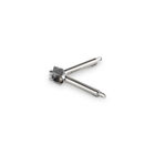 Stainless Steel Garlic Press
