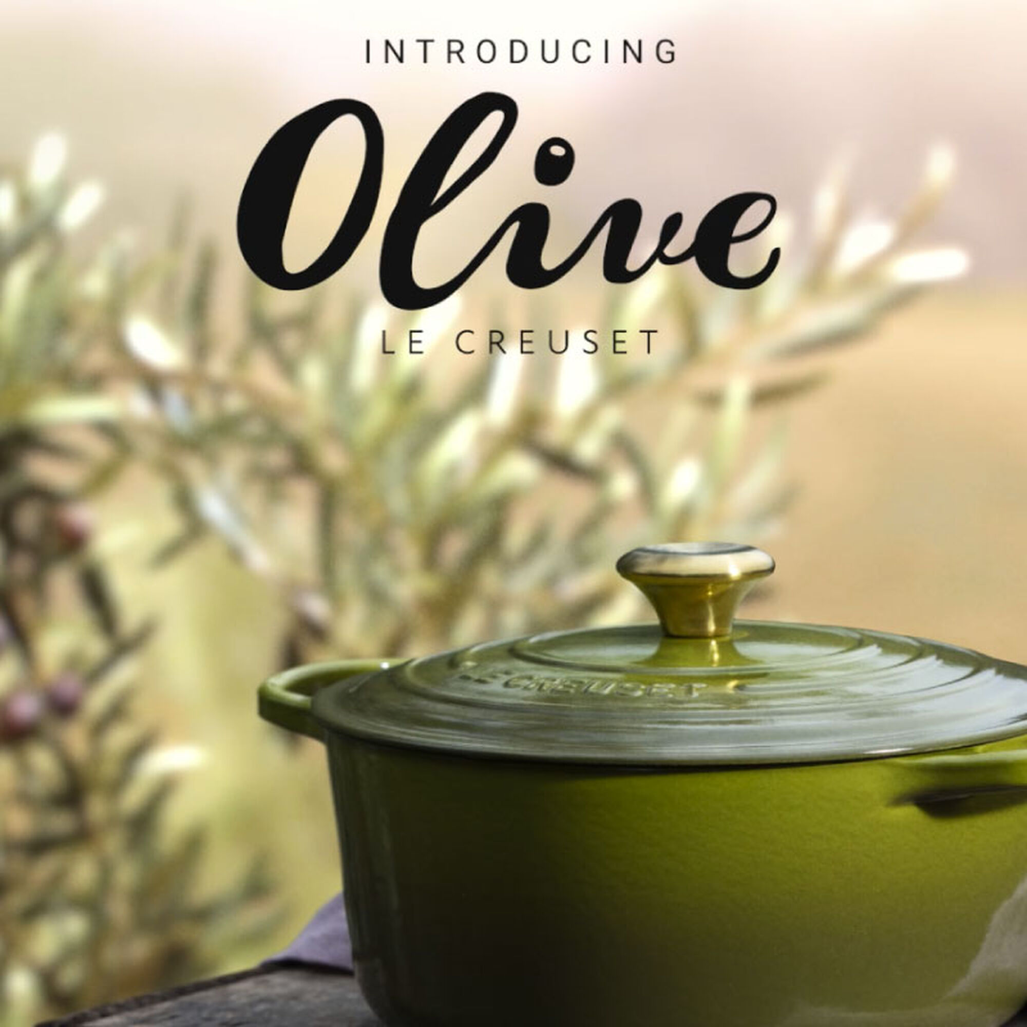 Signature Round Dutch Oven - Olive, 7 1/4 qt.