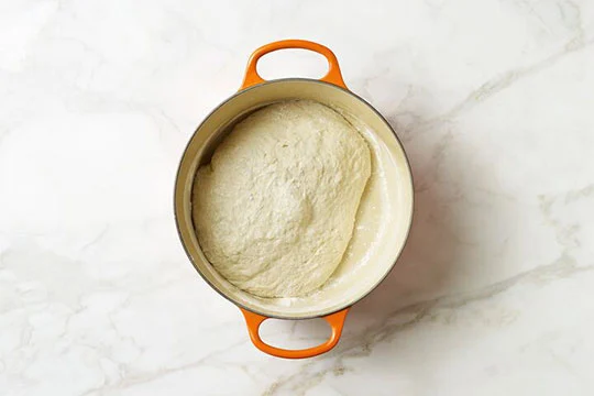 bread dough in dutch oven
