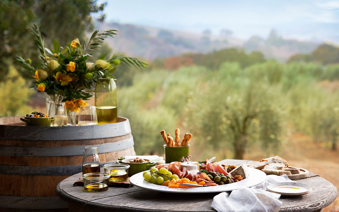al fresco dining in an olive grove