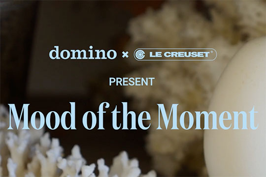 mood of the moment video