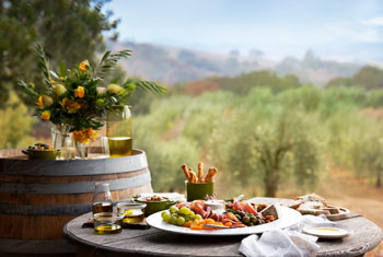 al fresco meal served on a wooden table in an olive grove