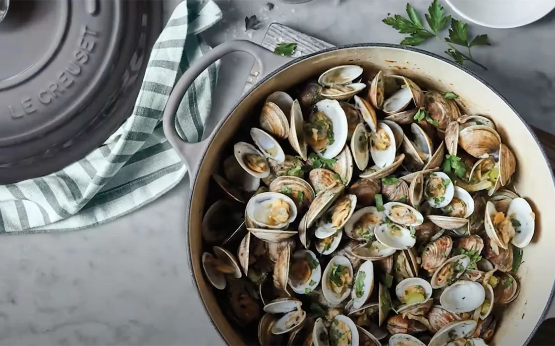 Color Conversations: Discover Shallot