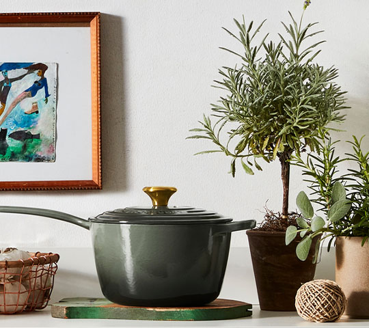 saucepan next to potted herb plant