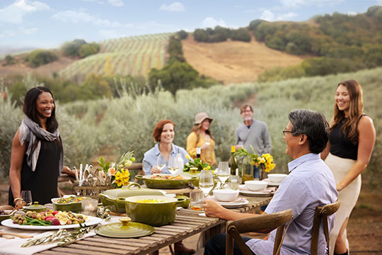 a group of friends enjoy an al fresco meal in an olive grove served out of olive green Le Creuset cookware