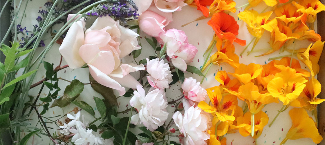 an array of colorful flowers