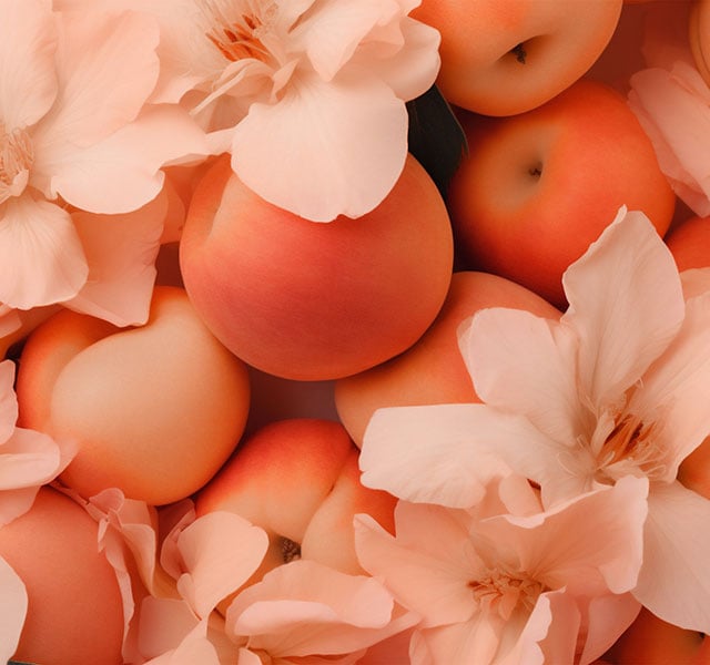 peach-colored flowers and peaches