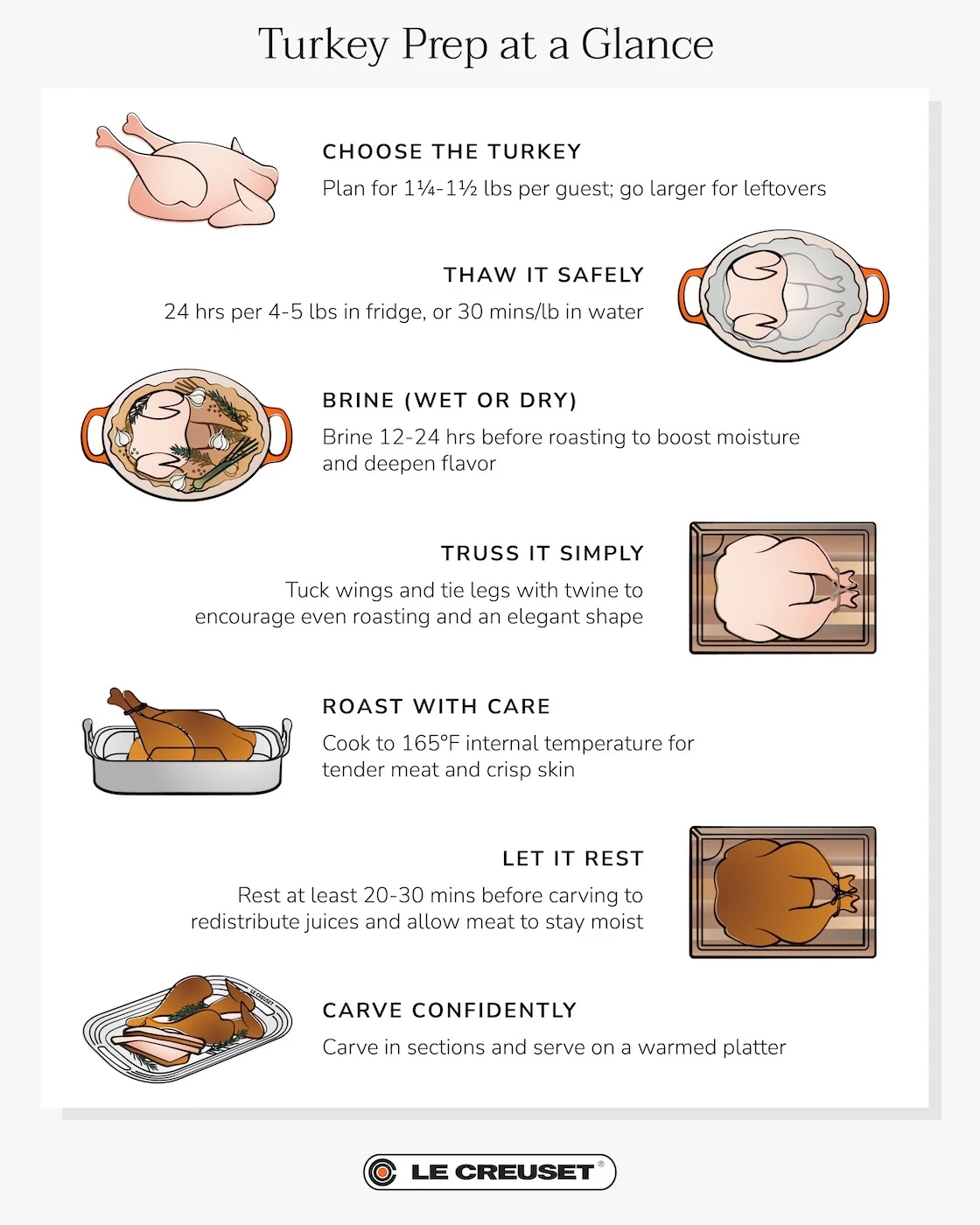 turkey infographic