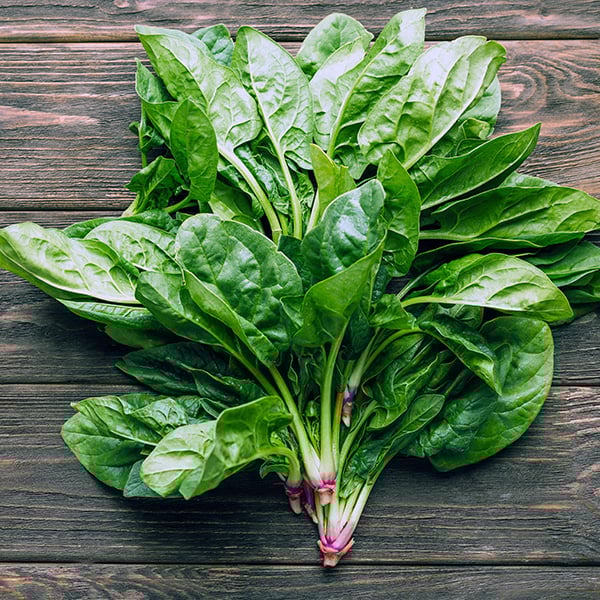 green leaves on wood surface